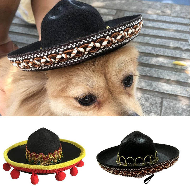 Chapeau pour Chien | Bob Nation