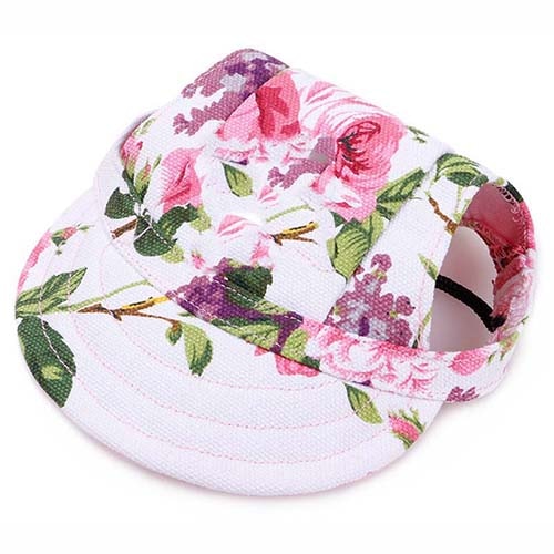 Casquette pour Chien Sport XL