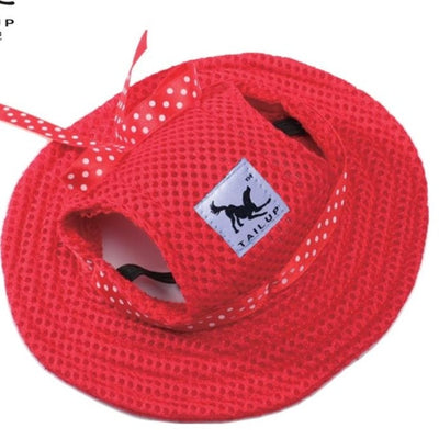 Chapeau pour Chat Streetwear Tendance