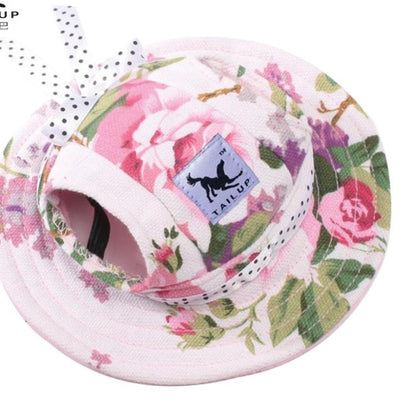 Chapeau pour Chat Streetwear Tendance