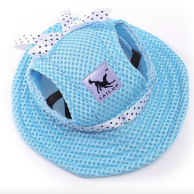 Chapeau pour Chat Streetwear Tendance
