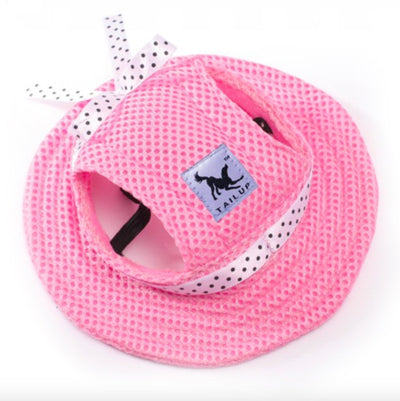Chapeau pour Chat Streetwear Tendance