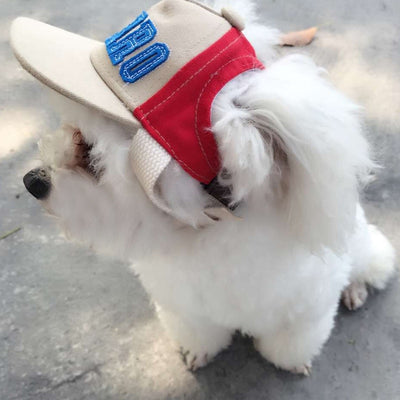 Casquette pour Chien Streetwear Yorkshire