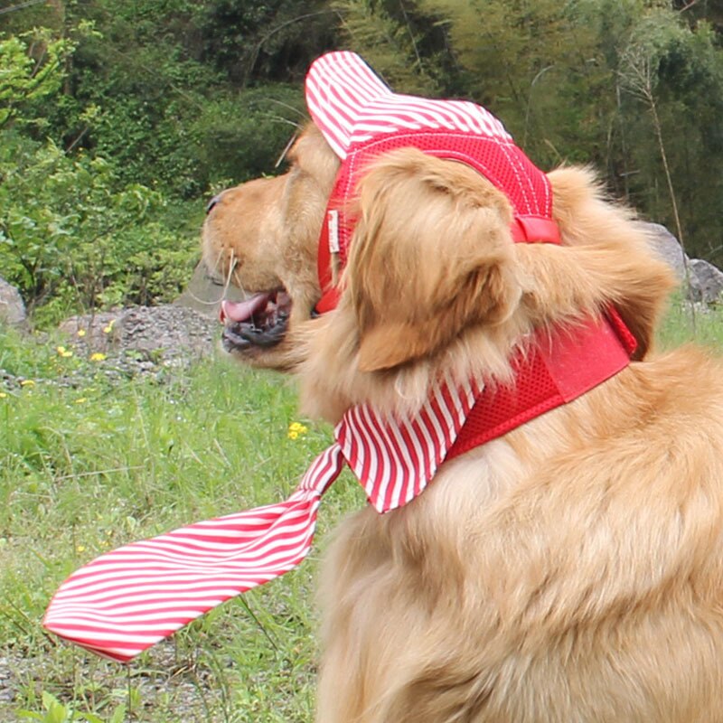 Casquette pour Chien Motard Rétro