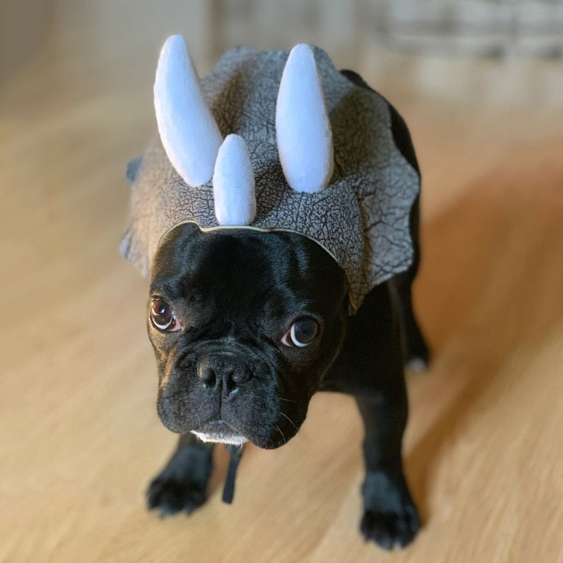 Bonnet pour Chien Tricératops XS