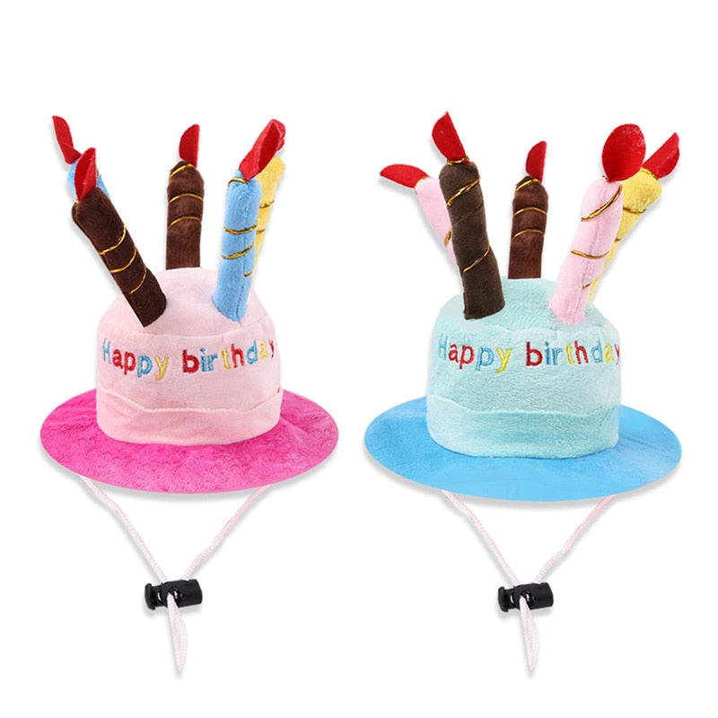 Chapeau Anniversaire pour Chien | Bob Nation