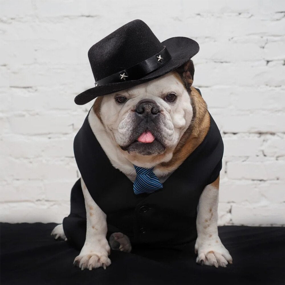 Chapeau pour Chien Cowboy Texan