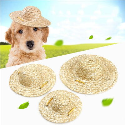 Chapeau pour Chien Paille Tropical