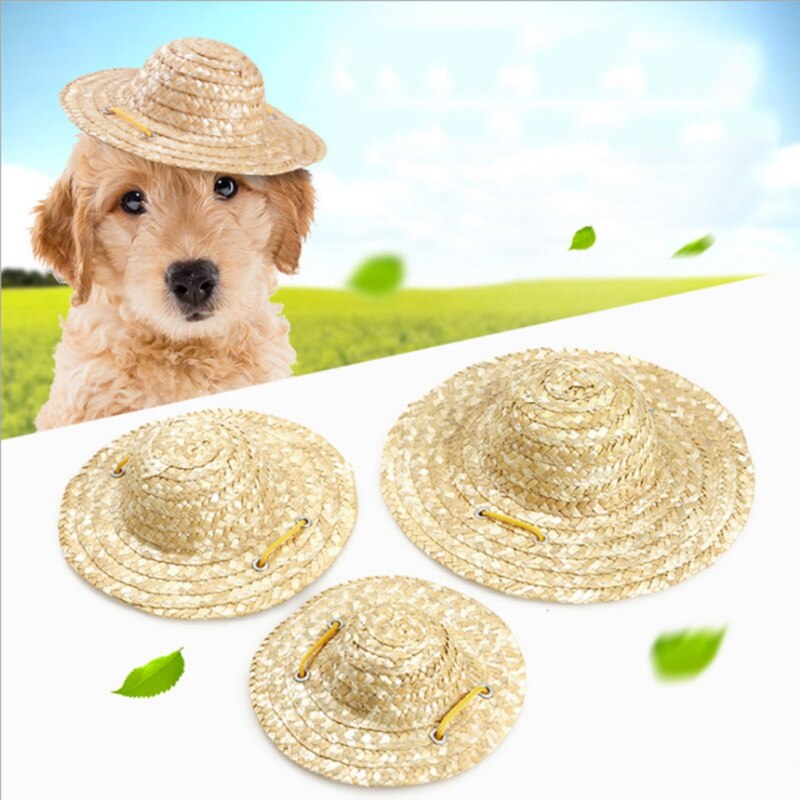 Chapeau de Paille pour Chien | Bob Nation