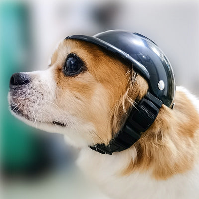 Chapeau pour Chien Protection Moto