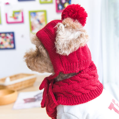Bonnet pour Chien en Laine d'Hiver (avec écharpe)
