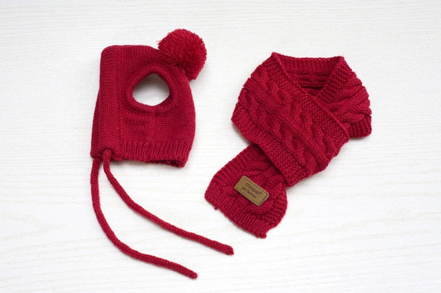Bonnet pour Chien en Laine d'Hiver (avec écharpe)