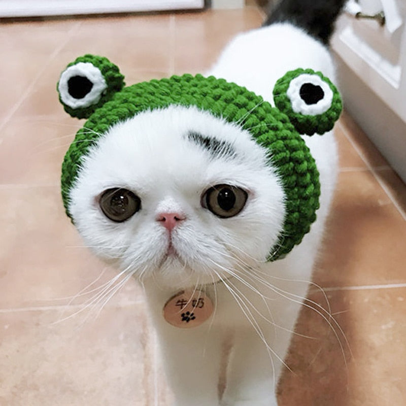 Bonnet pour Chat Tricot Petit Monstre