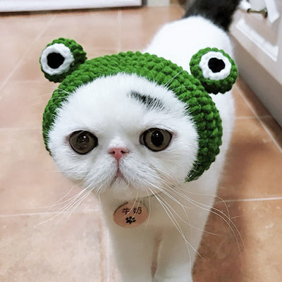 Bonnet pour Chat Tricot Petit Monstre