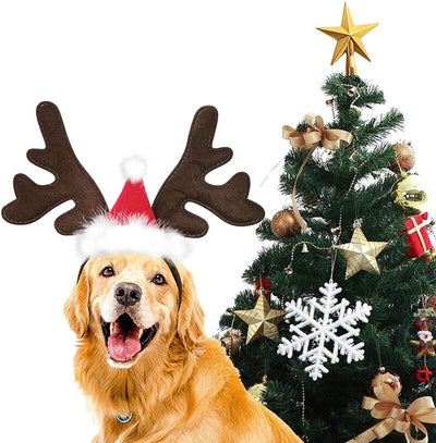 Chapeau pour Chien Renne de Noël