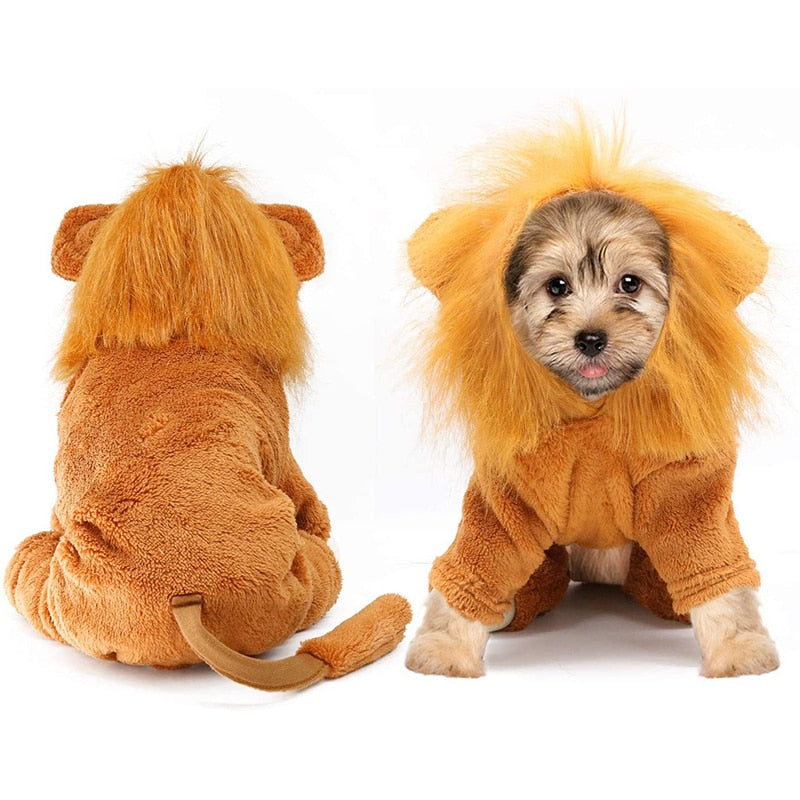 Chapeau pour Chat Lion Intégral
