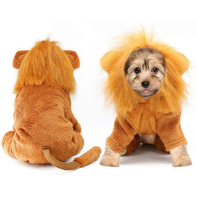 Chapeau pour Chat Lion Intégral
