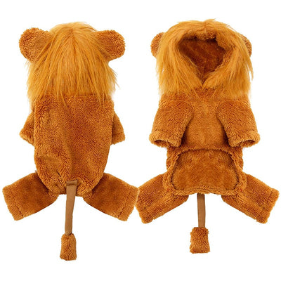 Chapeau pour Chat Lion Intégral