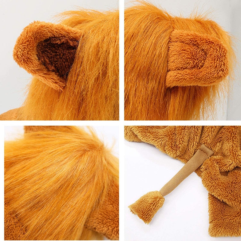 Chapeau pour Chat Lion Intégral