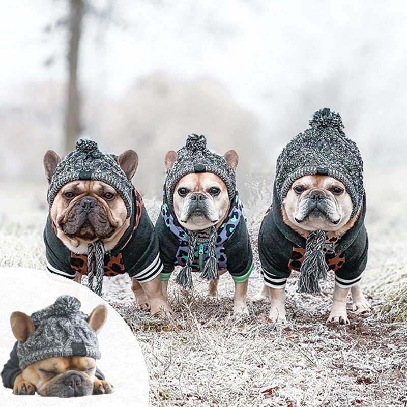 Bonnet pour Chien Style Péruvien au Tricot