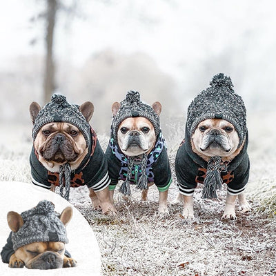 Bonnet pour Chien Style Péruvien au Tricot