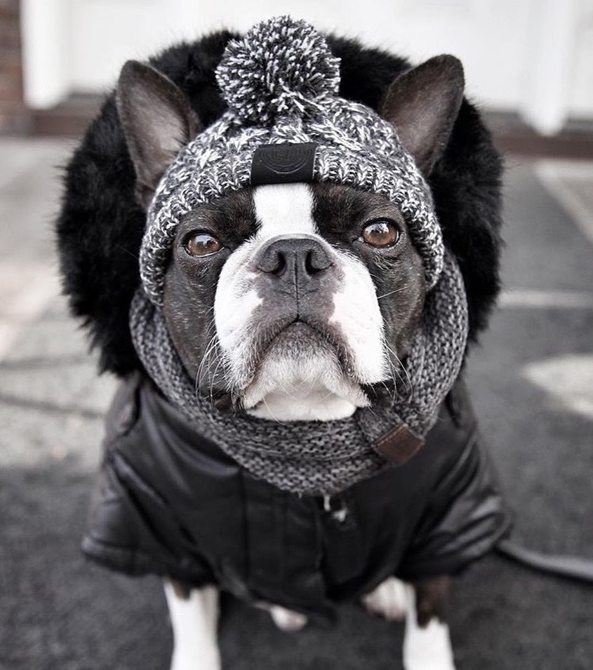 Bonnet pour Chien Style Péruvien au Tricot