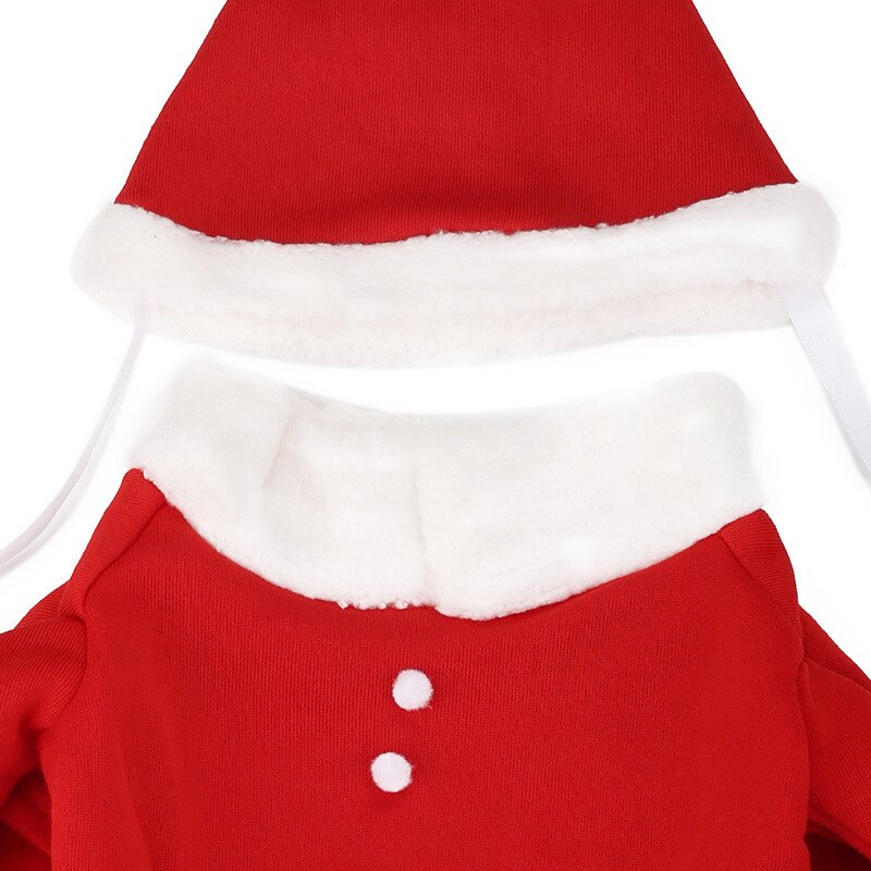 Bonnet pour Chien & Cosplay de Noël