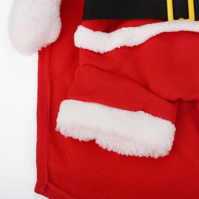 Bonnet pour Chien & Cosplay de Noël