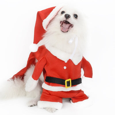 Bonnet pour Chien & Cosplay de Noël