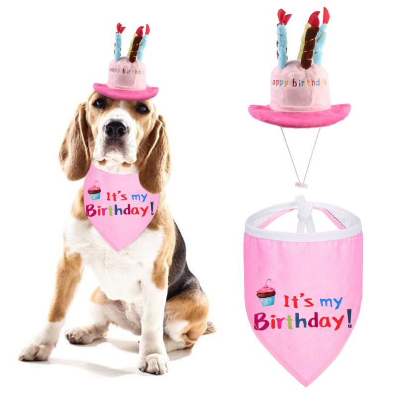 Chapeau Anniversaire Chien | Bob Nation