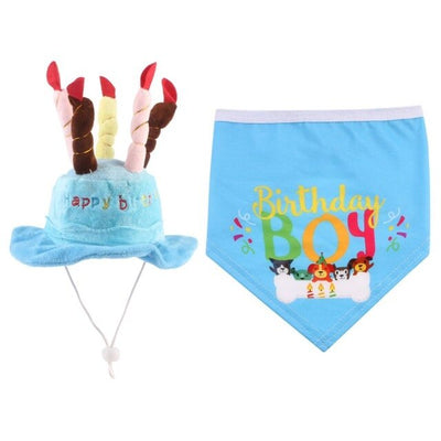 Chapeau pour Chien Anniversaire en Folie