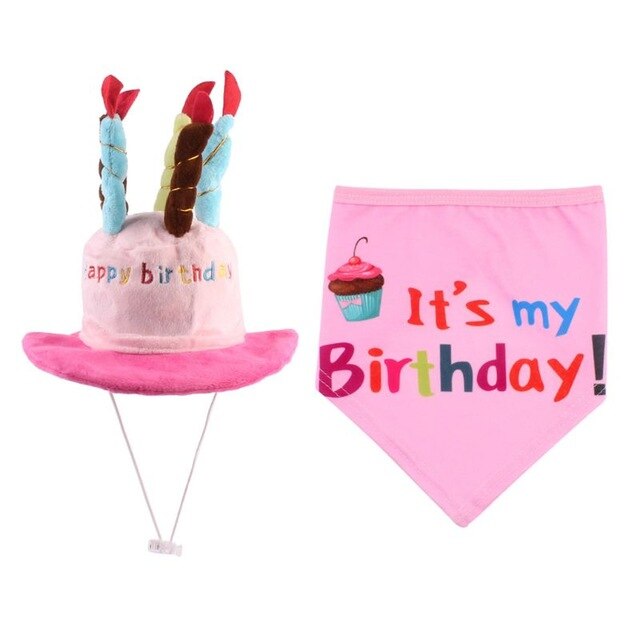 Chapeau pour Chien Anniversaire en Folie