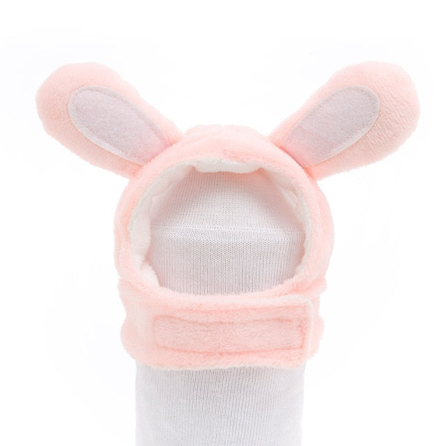 Bonnet Chat Oreille | Bob Nation