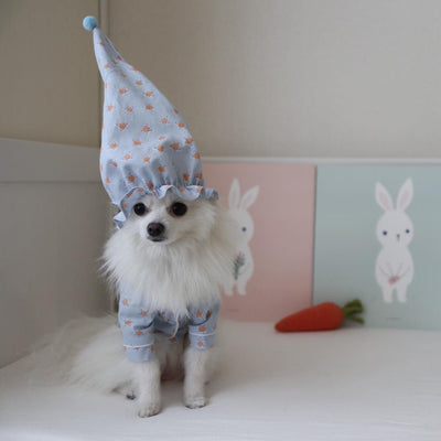Chapeau pour Chien & Pyjama de Nuit