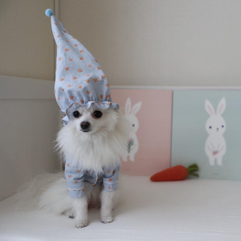 Chapeau Bébé Chien | Bob Nation