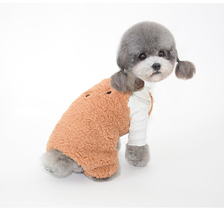 Bonnet pour Chien Oreilles & Costume