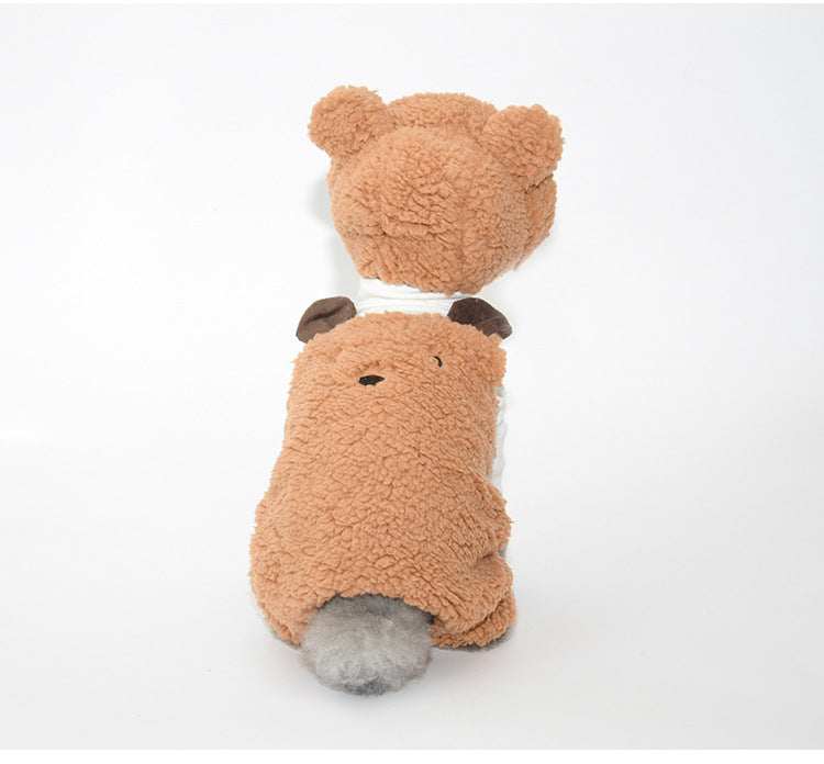 Bonnet pour Chien Oreilles & Costume