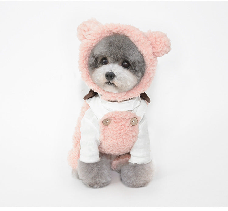 Bonnet pour Chien Oreilles & Costume