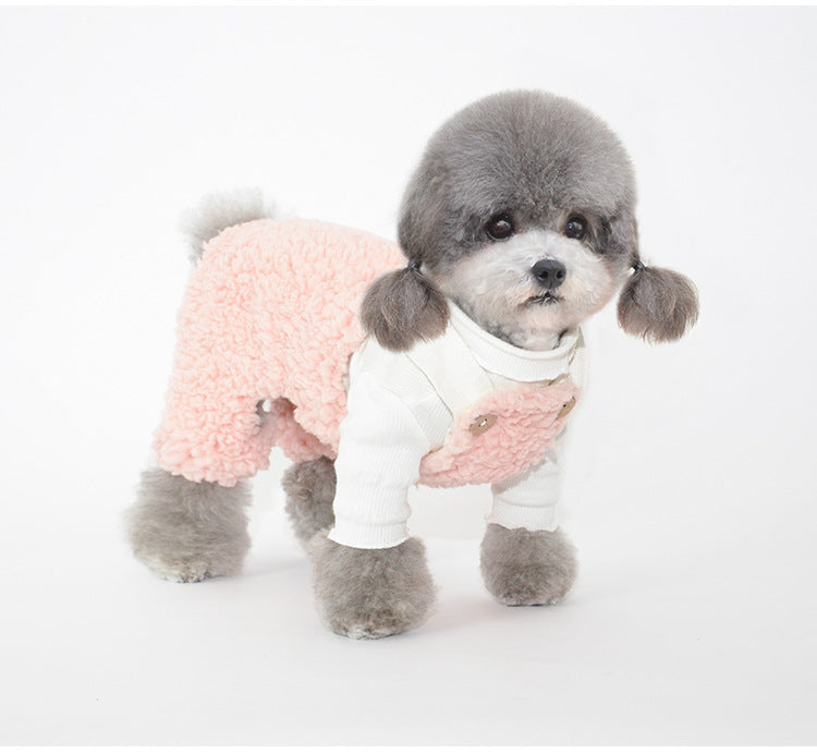 Bonnet pour Chien Oreilles & Costume