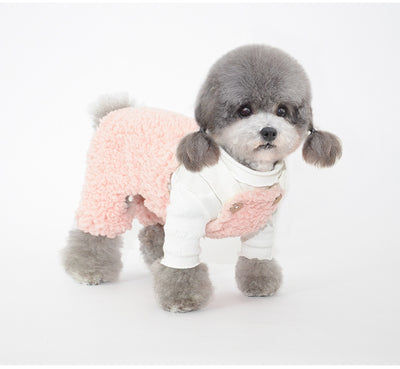 Bonnet pour Chien Oreilles & Costume
