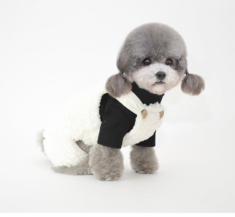 Bonnet pour Chien Oreilles & Costume