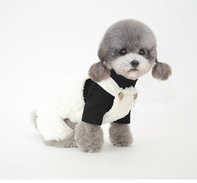 Bonnet pour Chien Oreilles & Costume