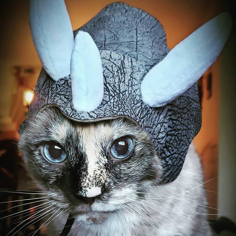 Bonnet pour Chat Tricératops