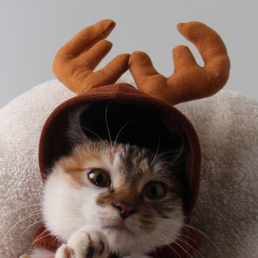 Bonnet pour Chat Renne de Noël