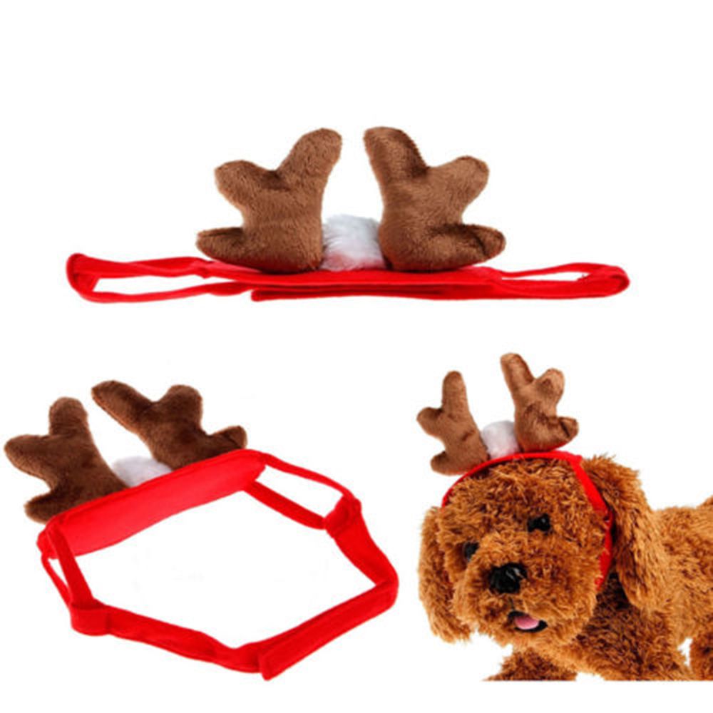 Chapeau pour Chien Cornes de Renne