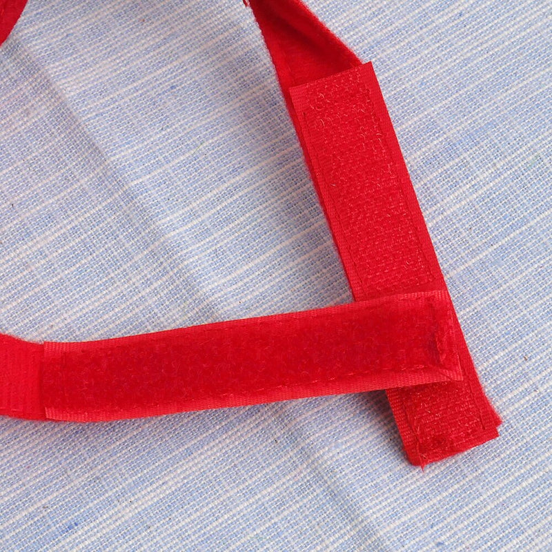 Bonnet de Renne pour Chien | Bob Nation