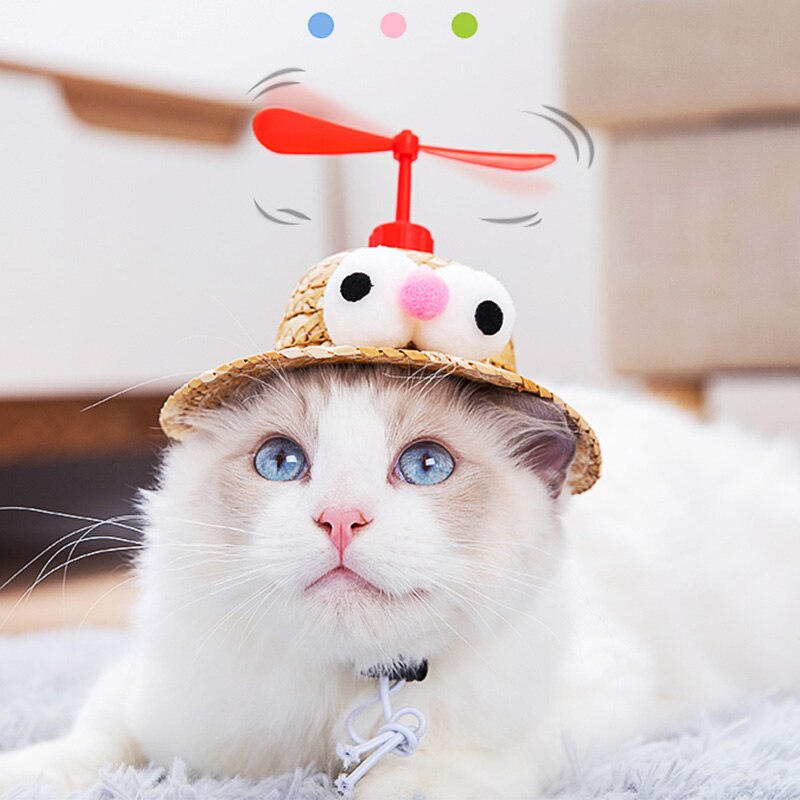 Casquette pour Chat | Bob Nation