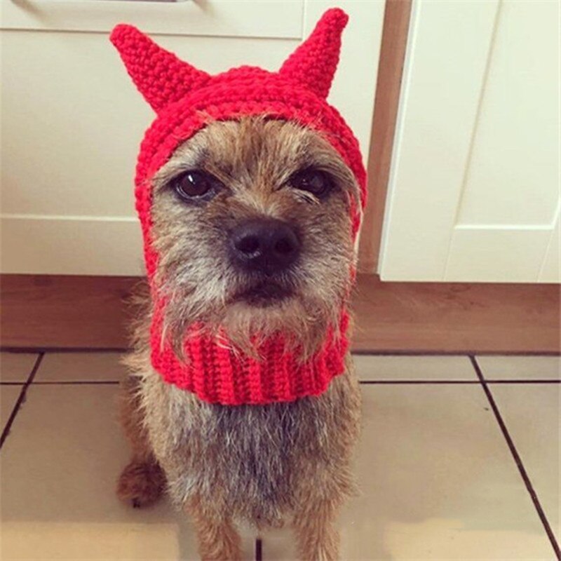 Bonnet pour Chien au Crochet | Bob Nation