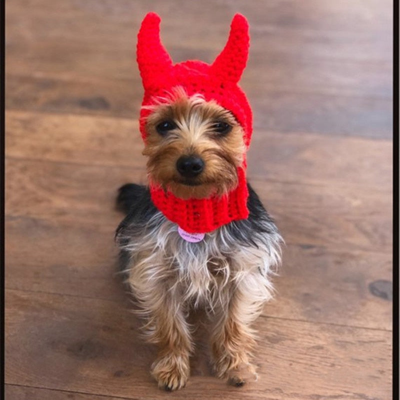 Bonnet pour Chien Diable au Crochet