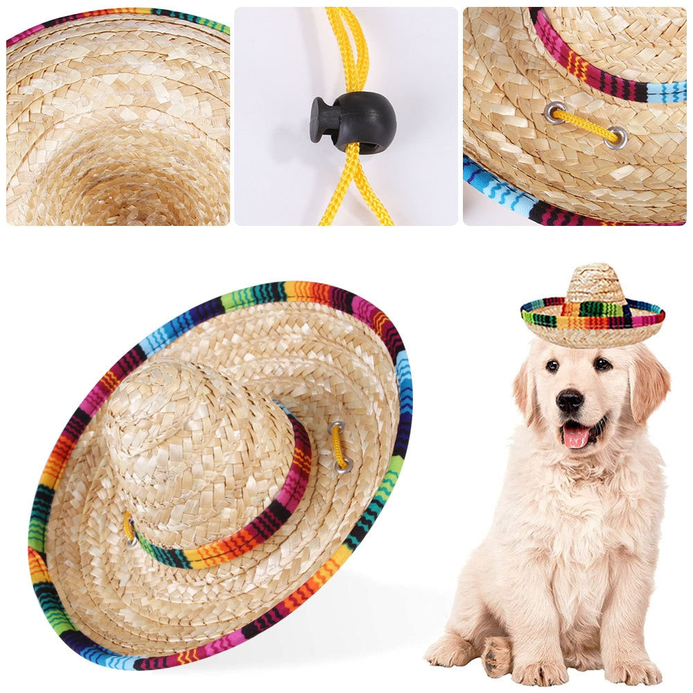 Chapeau pour Chien Paille Multicolore